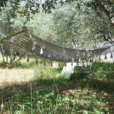 Domizil Lina Art Guest house *