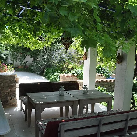 Domizil Lina Art 3* Guzelcamlı