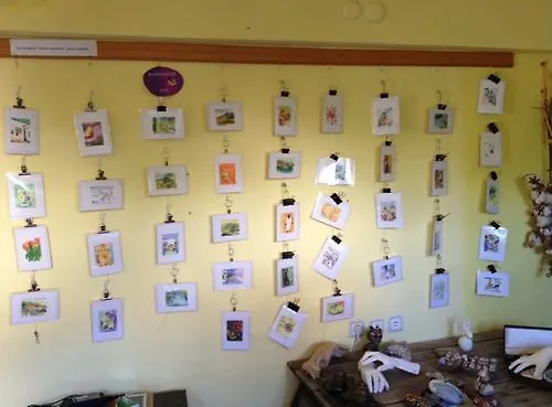 Domizil Lina Art Gæstehus Guzelcamlı