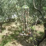 Casa de hóspedes Domizil Lina Art 3*